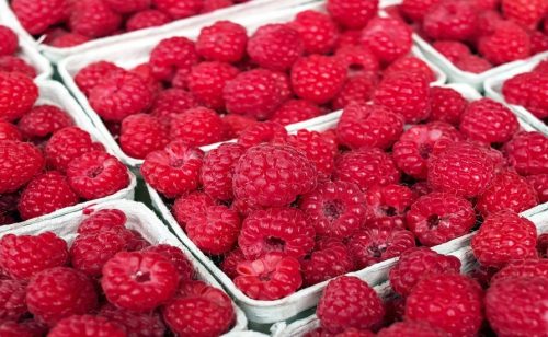 Francuska zadržala isporuku malina iz Srbije zbog prisustva kadmijuma