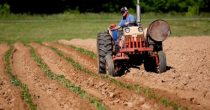 Očekuje se 700 novih traktora iz konkursa Svetske banke