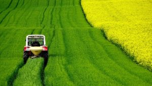 Zbog klimatskih promena godišnje se u svetu gubi 30 miliona hektara oranica