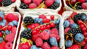 Borovnice, maline i kupine
