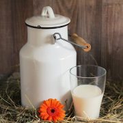 Prosečna otkupna cena mleka u Crnoj Gori dostići će 39 centi