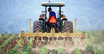 Srpski poljoprivrednici i dalje gledaju na osiguranje kao na trošak