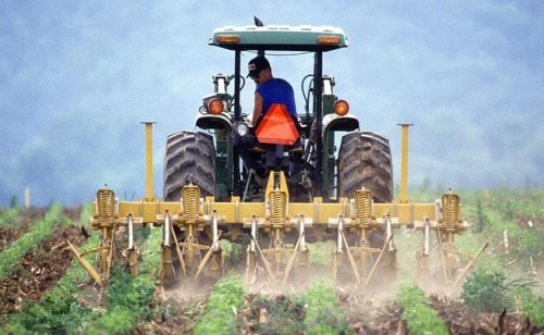 Država kreće u promenu agrarne politike – ko bude više ulagao dobijaće više podsticaja