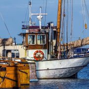 HRVATSKO RIBARSTVO U OZBILJNOM PROBLEMU Potpuno obustavljen izvoz ribe zbog pandemije
