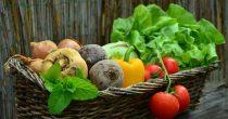 Srbija i Rusija povećale robnu razmenu  poljoprivredno-prehrambenih proizvoda