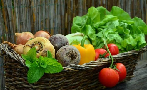 Nove mogućnosti za izvoz srpske hrane na rusko i evroazijsko tržište