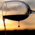 Zašto se organsko vino iz Srbije izvozi kao i svako drugo?
