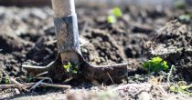 Srbija izgubila najmanje milion hektara obradivog zemljišta