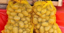 Proizvođačka cena krompira u Srbiji porasla za 89 odsto za godinu dana