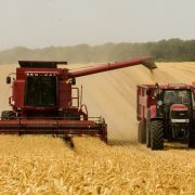 Porasla produktivnost rada u poljoprivredi EU