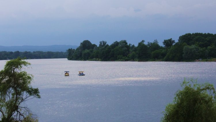 Kreće gradnja marine na Dunavu, tik uz Srebrno jezero