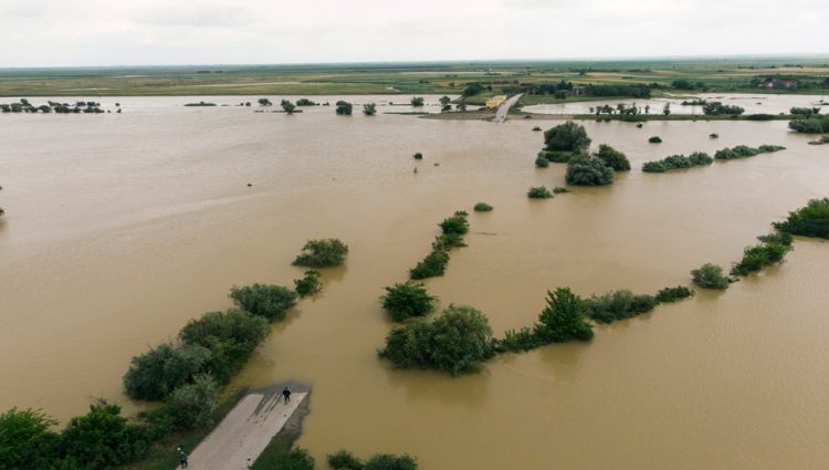 VANREDNA SITUACIJA U 15 GRADOVA I OPŠTINA U SRBIJI Obilne padavine izazvale poplave, situacija se polako smiruje