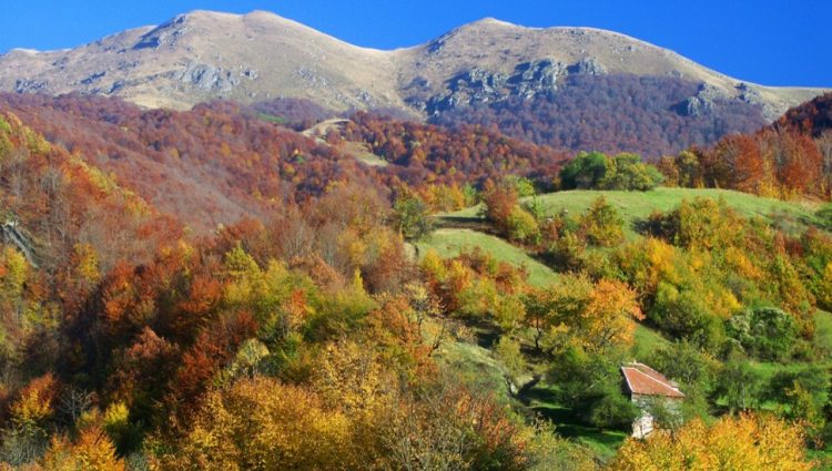 (FOTO) TURISTIČKE LEPOTE SRBIJE Stara planina, idealno mesto za aktivan odmor i uživanje u domaćim specijalitetima