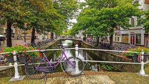 Između Beograda i Amsterdama 14 letova nedeljno i tokom zimskog reda letenja