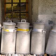 Crnogorski proizvođači mleka obustavljaju isporuke mlekarama