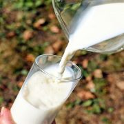 Proizvođači mleka blokirali raskrsnice ka Kraljevu, Kragujevcu i Čačku