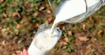 Trgovinski "mlečni rat" preti Protokolu Severne Irske