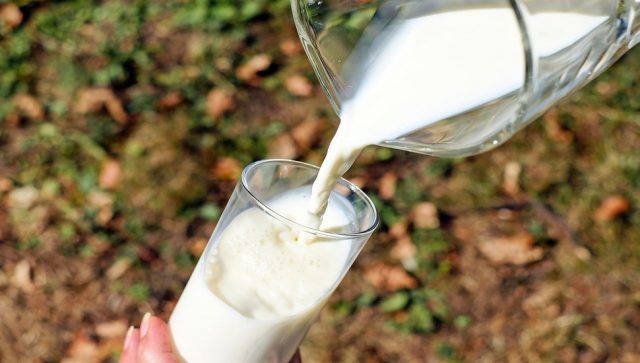 MLEKO I MLEČNI PROIZVODI IZ SRBIJE PRVI PUT NA KINESKOM TRŽIŠTU Dve domaće mlekare dobile sertifikate za izvoz