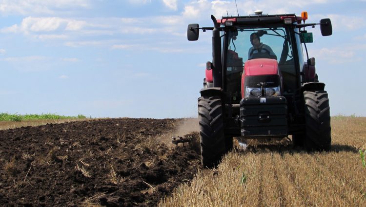 Poljoprivrednici mogu da konkurišu za obradu napuštenog zemljišta uz minimalne uslove