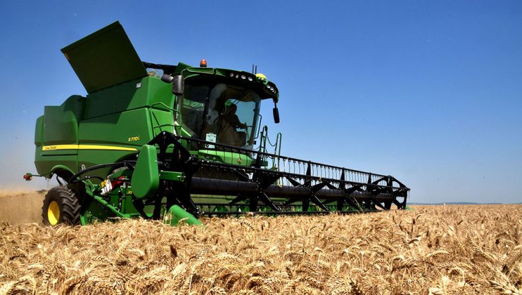 Pšenica najskuplja u poslednjih 13 godina