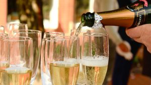 Apel da se ne povećava porez na penušavo vino