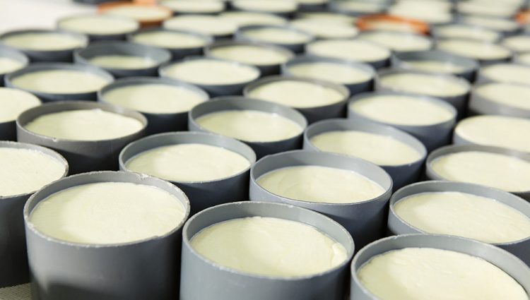 Srbija dobro snabdevena mlečnim proizvodima, ali stočare čekaju krupni izazovi