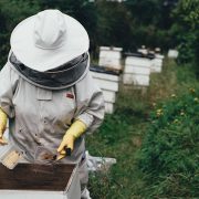 Zahtevi za subvencije u pčelarstvu pod lupom inspekcije