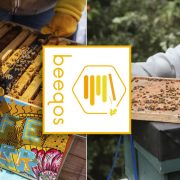 VIRTUELNI ASISTENT ZA PČELARSTVO Mladi preduzetnik iz Leskovca razvio aplikaciju pčelarskog dnevnika