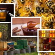Od 25 uzoraka meda na domaćem tržištu čak 22 falsifikata