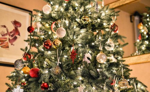 Može li u Srbiji da se iznajmi jelka za božićne i novogodišnje praznike?