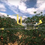 U nedostatku radne snage, dronovi beru voće