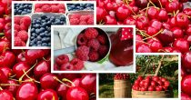 Sedam saveta za izvoz voća i povrća u nordijske zemlje