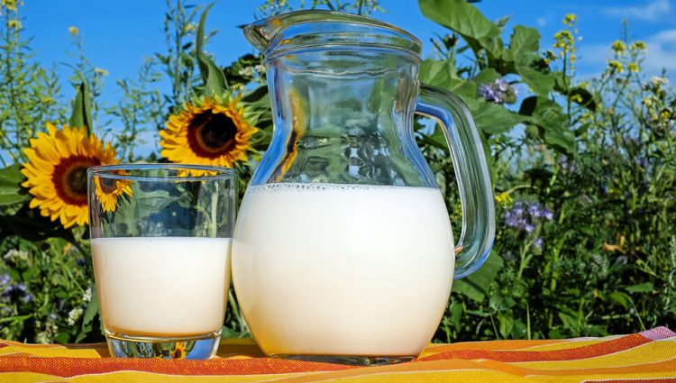 Počelo prijavljivanje za premiju za mleko za treći kvartal 2023. godine
