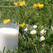 Proizvođači mleka najavljuju blokade puteva ako ih ne primi Vučić