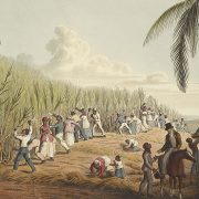 Lloyd’s popisuje više od 3.000 dragocenosti iz vremena trgovine robljem