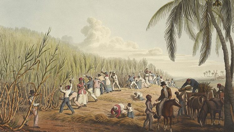 Lloyd’s popisuje više od 3.000 dragocenosti iz vremena trgovine robljem