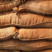 Vlada Srbije odobrila razmenu rezervi merkantilnog kukuruza za semensku pšenicu