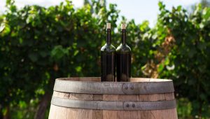 Otvoren peti međunarodni sajam vina, rakije, hrane i turizma Wine Vision by Open Balkan