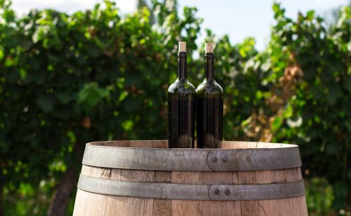 Nemački vinari zbog nevremena proizveli manje vina u 2025. godini