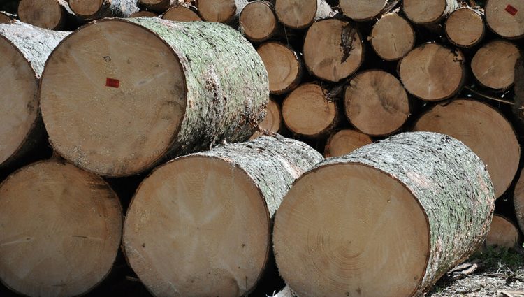 Tržište drvnih goriva se vraća u normalu, kubik drveta jeftiniji za 1.500 dinara