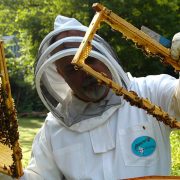 Kako pčelari mogu do boljeg prinosa i većih prihoda