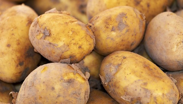 Liberalno tržište ugrožava domaću proizvodnju, ali krompir bi mogao da napravi revoluciju