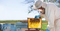Dileri crnih pesticida uništavaju pčelare