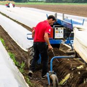 Tri puta više mladih poljoprivrednika u Srbiji