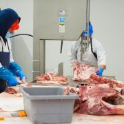 Uzgajivači svinja od ministra tražili totalnu zabranu uvoza mesa