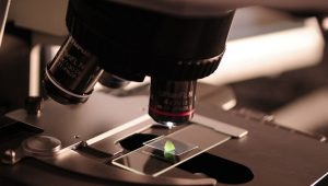 Merck kupuje američku laboratorijsku kompaniju za 10 milijardi evra