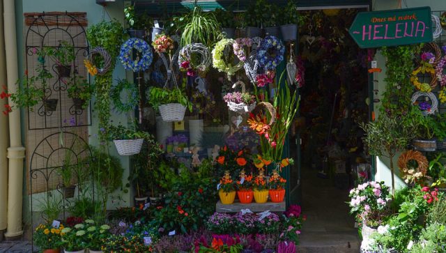 Prodaja cveća može biti unosan biznis