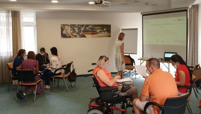 Posao na novoj online platformi traži 250 mladih osoba sa invaliditetom