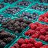 Arilje dobija fabriku za preradu voća, srpsko-mađarska investicija vredna šest miliona evra