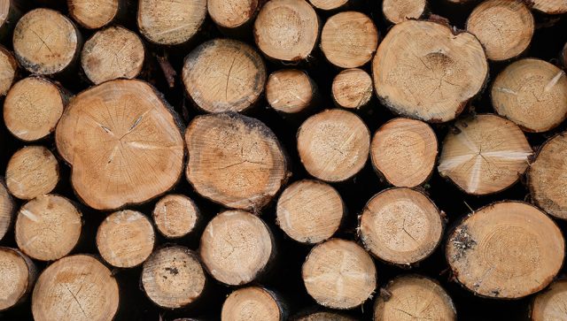 Poziv crnogorskoj vladi da zabrani izvoz ogrevnog drveta i peleta